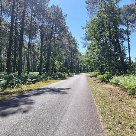 Апартаменты Surfnature : Plages Et Foret A 200m Сеньос