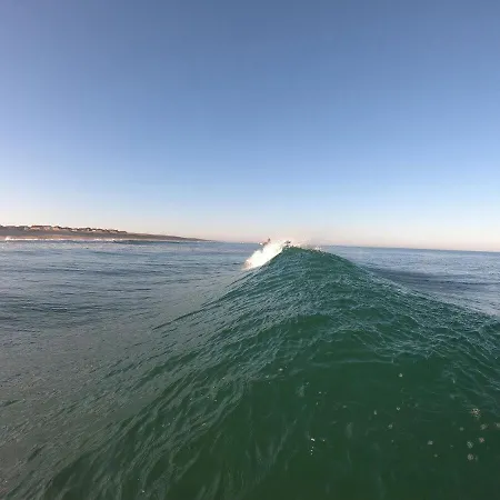 Surfnature : Plages Et Foret A 200m
