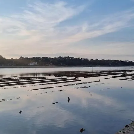 Surfnature : Plages Et Foret A 200m Сеньос