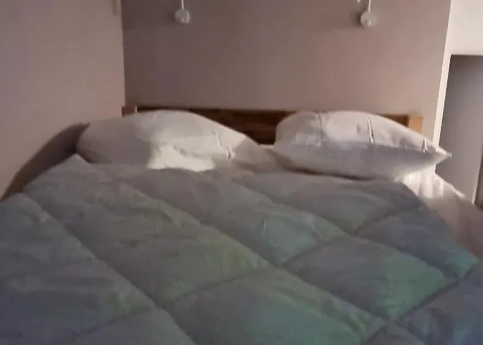 Surfnature : Plages Et Foret A 200m Daire *