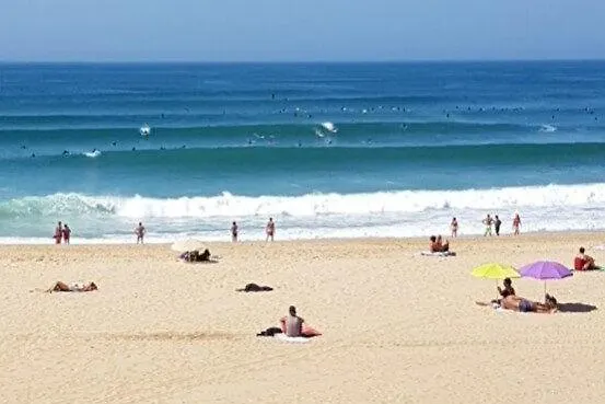 Daire Surfnature : Plages Et Foret A 200m