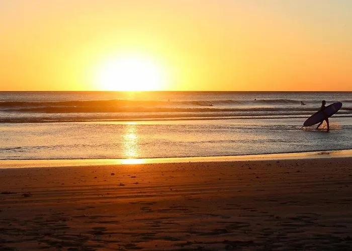 Surfnature : Plages Et Foret A 200m *