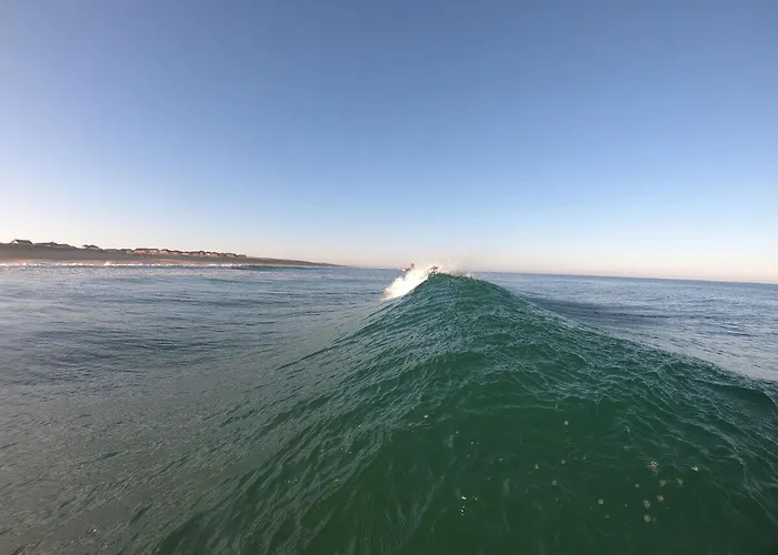 Surfnature : Plages Et Foret A 200m