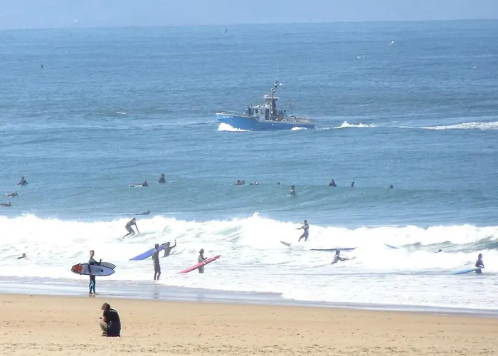 Surfnature : Plages Et Foret A 200m * Seignosse