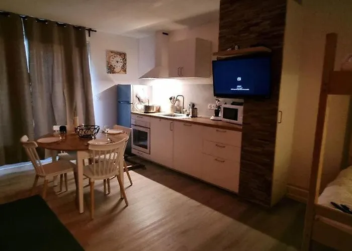 Surfnature : Plages Et Foret A 200m