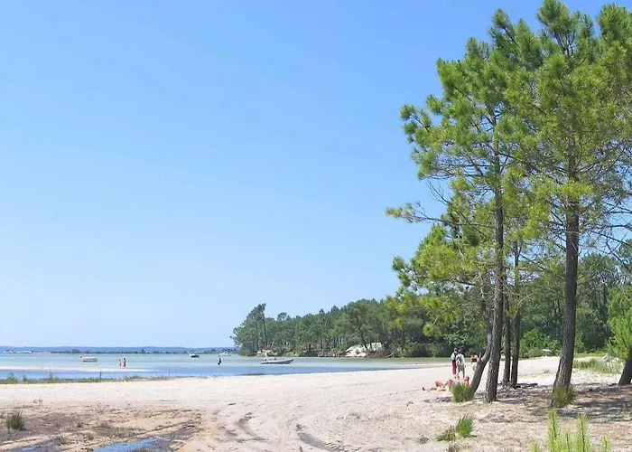 Surfnature : Plages Et Foret A 200m Daire *