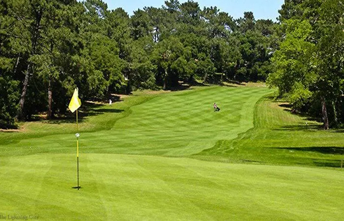 Surfnature : Plages Et Foret A 200m *