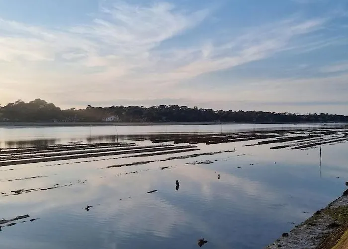 Surfnature : Plages Et Foret A 200m Seignosse